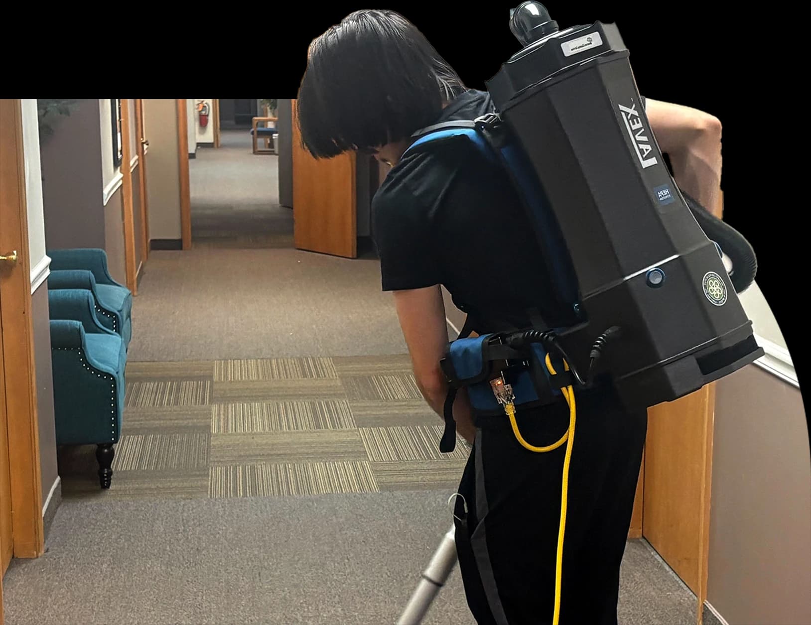 Cleaning professional at work